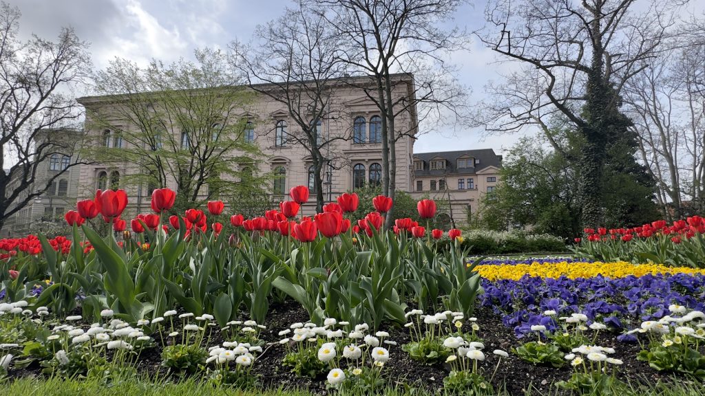 Das Gebäude der Cyberagentur in Halle (Saale) vom Joliot-Curie-Platz aus.